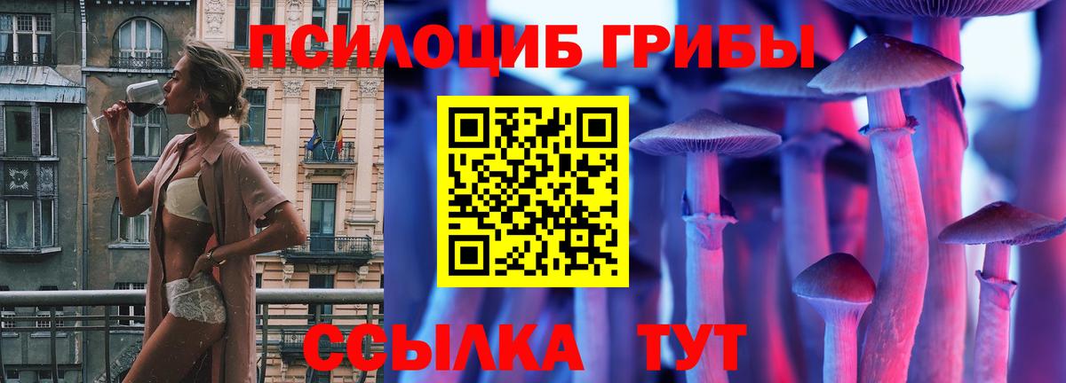 Псилоцибиновые грибы GOLDEN TEACHER Балтийск