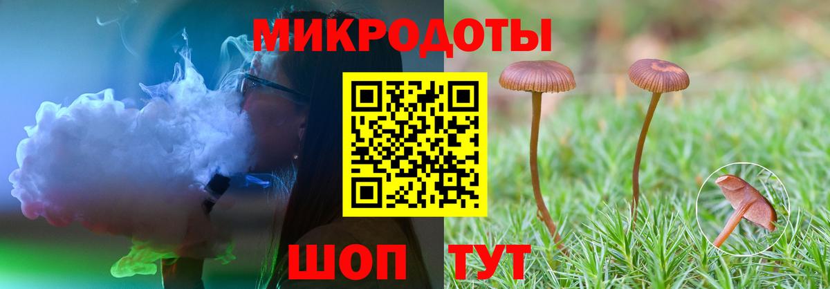 Балтийск  Псилоцибиновые грибы GOLDEN TEACHER  Вход с VPN 